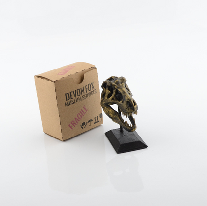 3D Printed T-Rex Skull Model