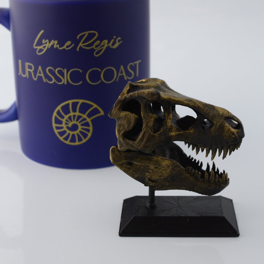 3D Printed T-Rex Skull Model