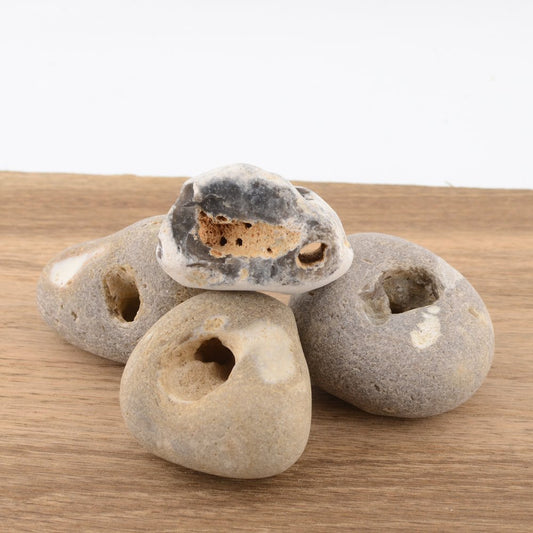 Hag Stone - 5-6cm – Naturally Holed Jurassic Coast Pebble