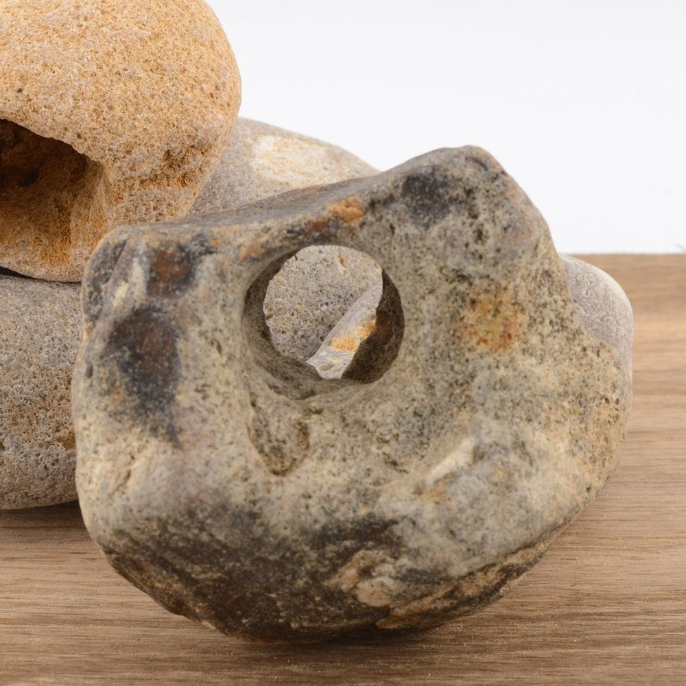 Hag Stone -Over 6cm – Naturally Holed Jurassic Coast Pebble