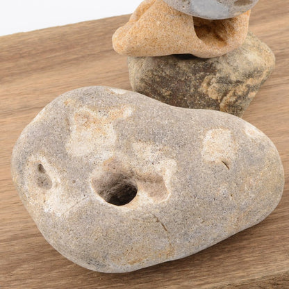 Hag Stone -Over 6cm – Naturally Holed Jurassic Coast Pebble