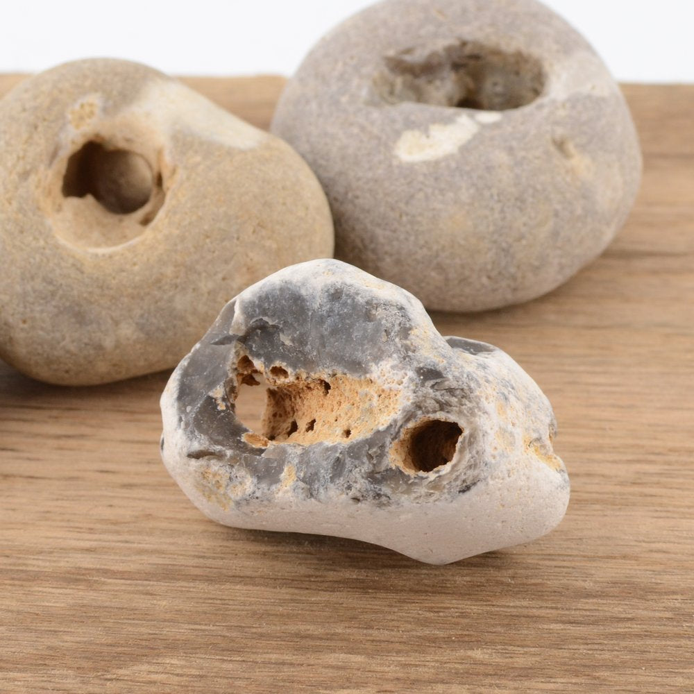 Hag Stone - 5-6cm – Naturally Holed Jurassic Coast Pebble
