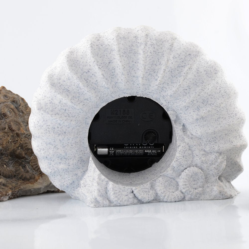 Ammonite Clock Marston Magna