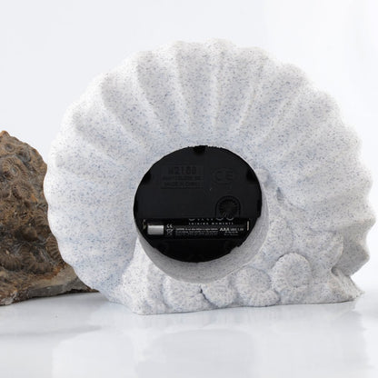 Ammonite Clock Marston Magna