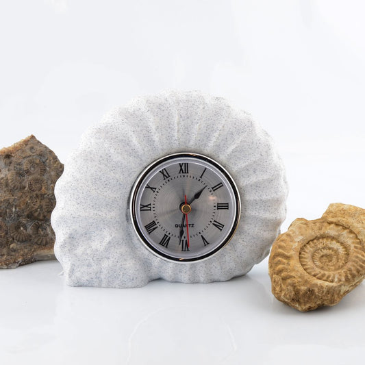 Ammonite Clock Marston Magna