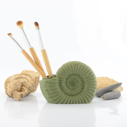 Ammonite Pot
