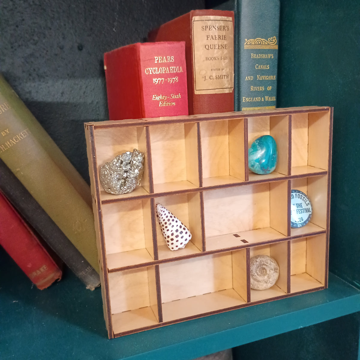 Wooden Printer's Tray - Curio & Trinket Display Shelf