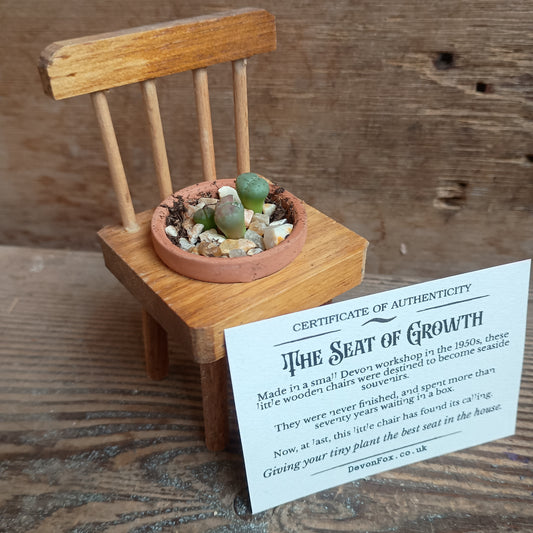 The Seat of Growth - Wooden Seat & a Tiny Plant Pot