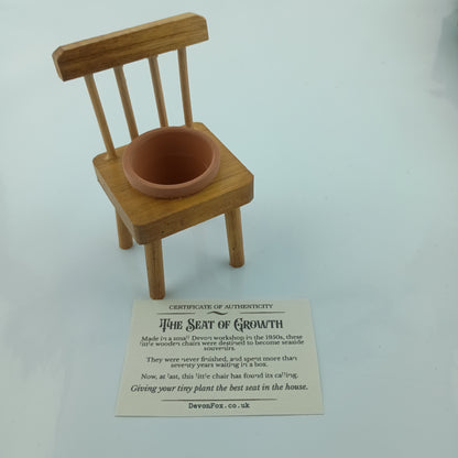 The Seat of Growth - Wooden Seat & a Tiny Plant Pot