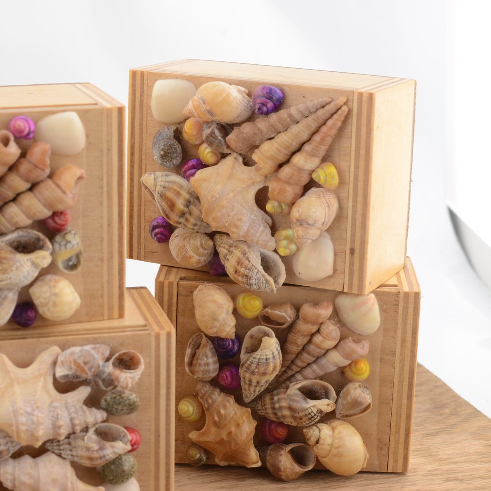Seashell  Wooden Trinket Box