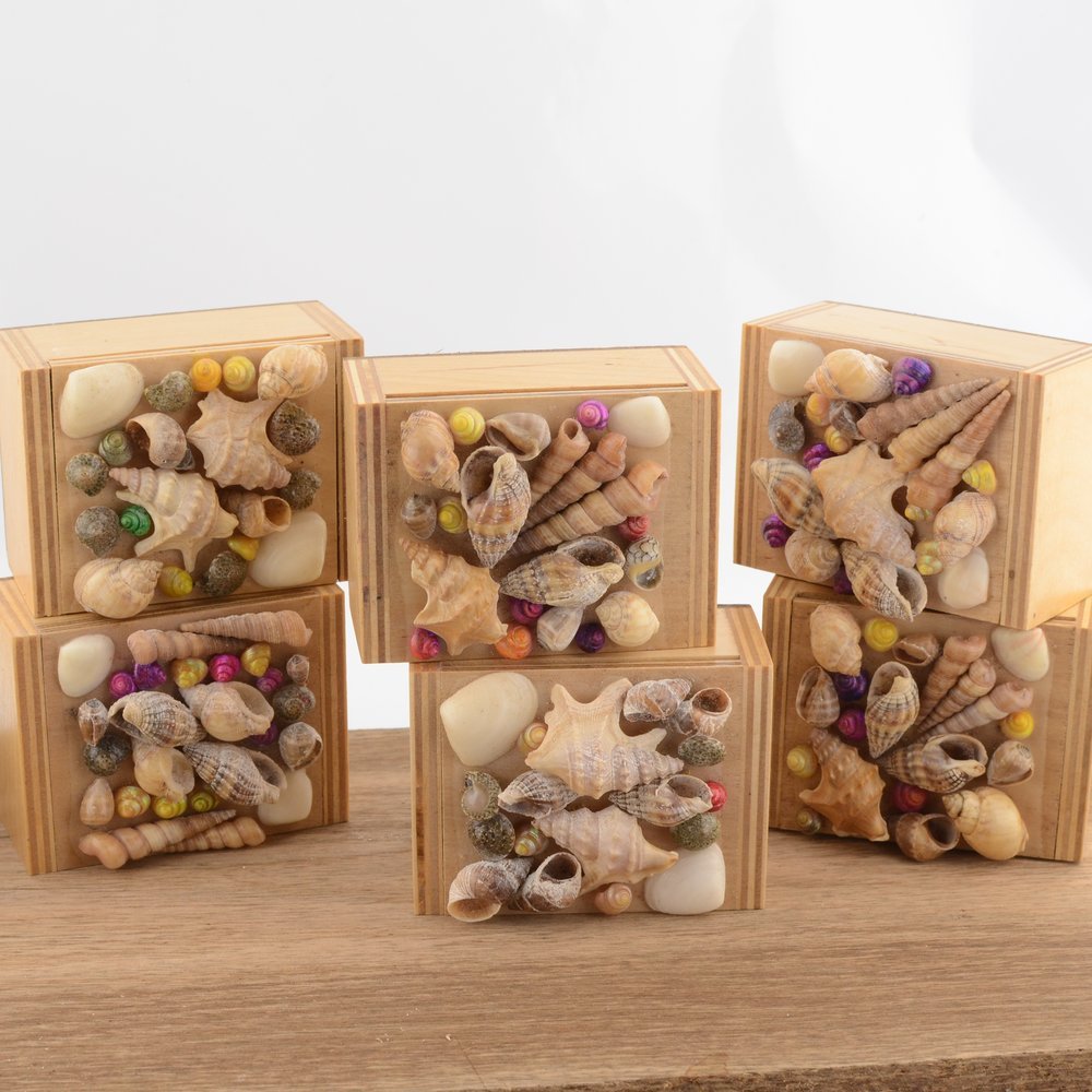 Seashell  Wooden Trinket Box