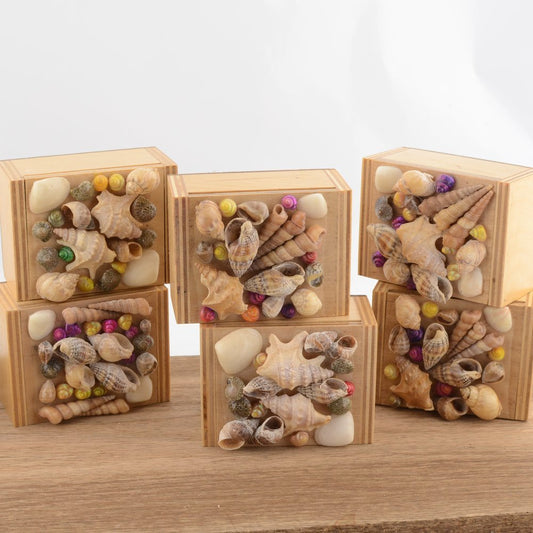 Seashell  Wooden Trinket Box