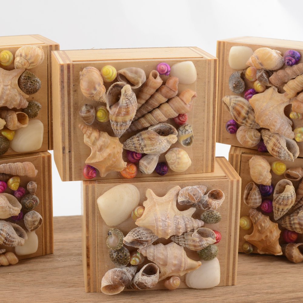 Seashell  Wooden Trinket Box