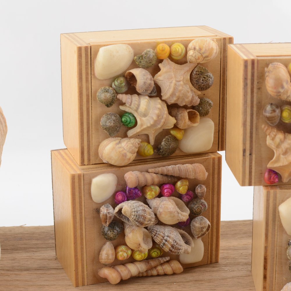 Seashell  Wooden Trinket Box