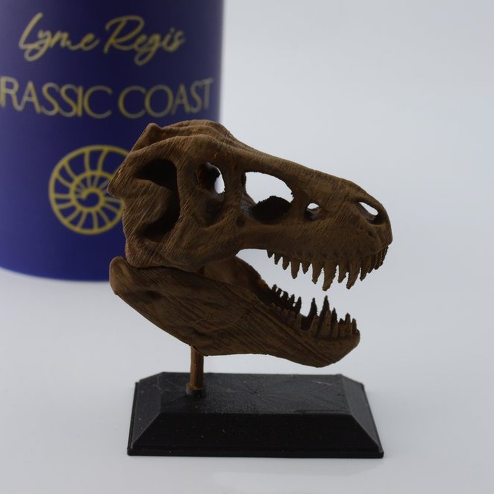 3D Printed T-Rex Skull Model