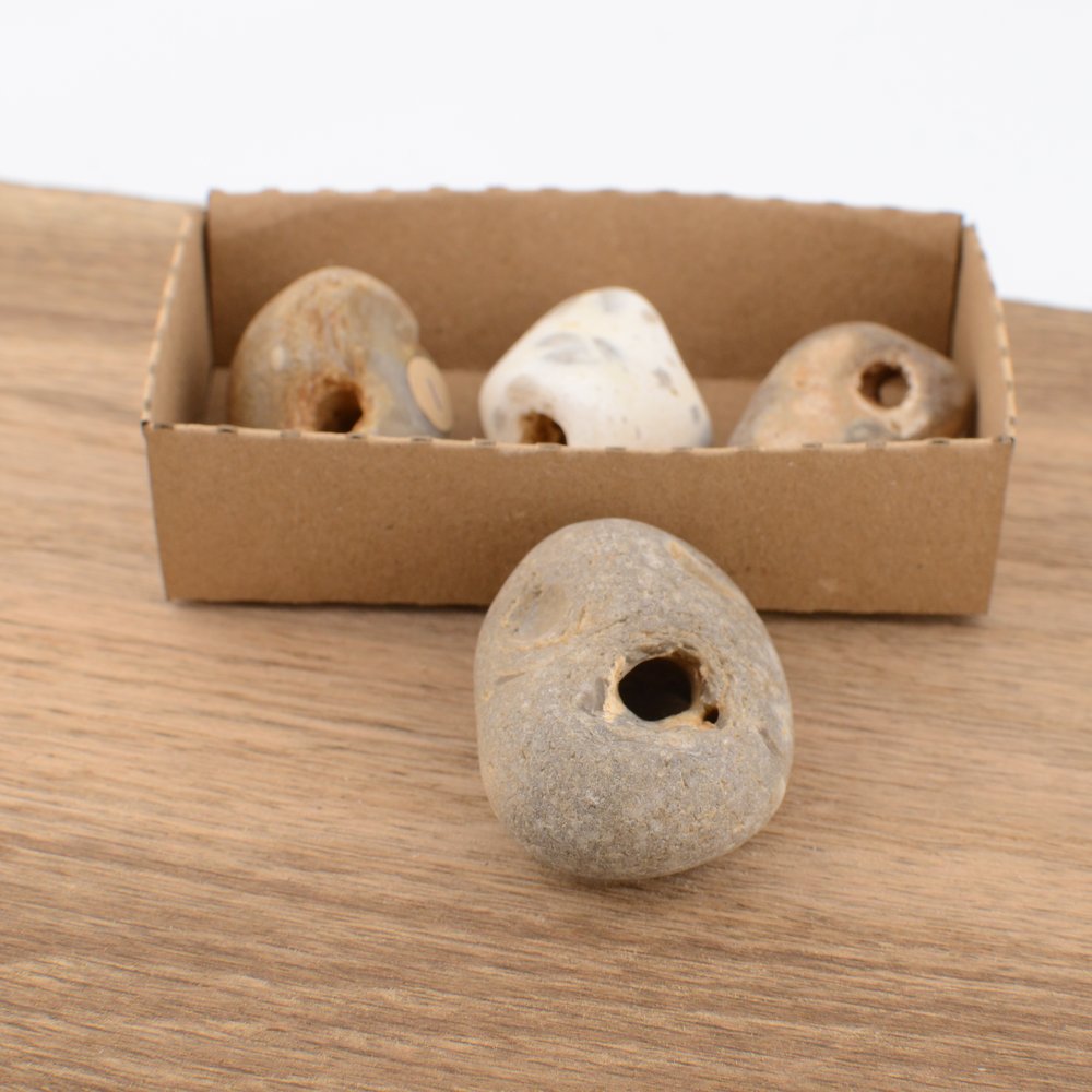 Hag Stone - under 5cm – Naturally Holed Jurassic Coast Pebble