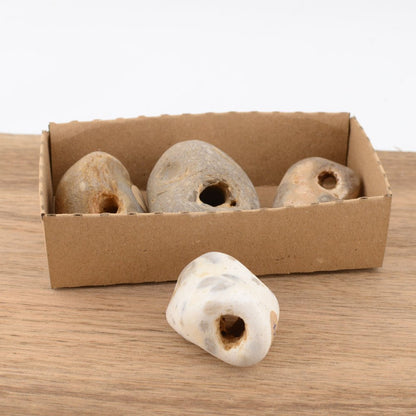 Hag Stone - under 5cm – Naturally Holed Jurassic Coast Pebble