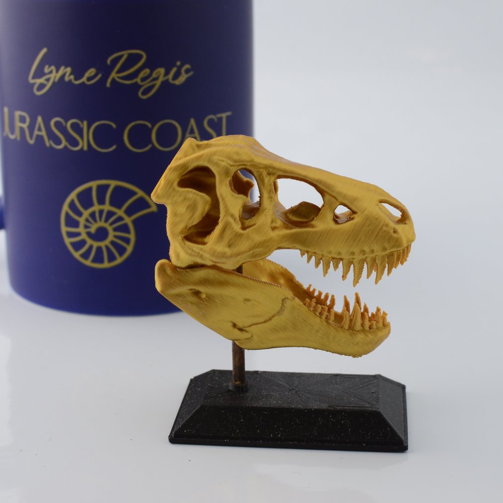 3D Printed T-Rex Skull Model