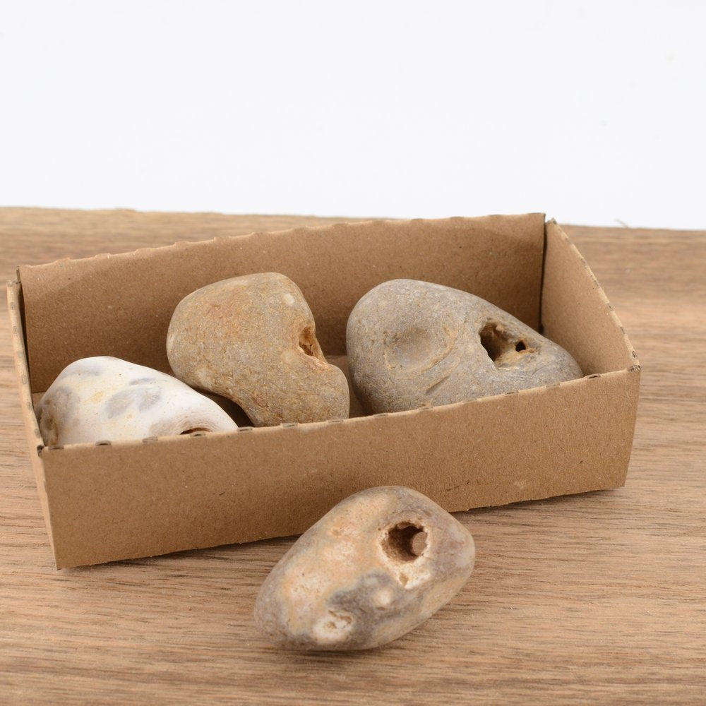 Hag Stone - under 5cm – Naturally Holed Jurassic Coast Pebble