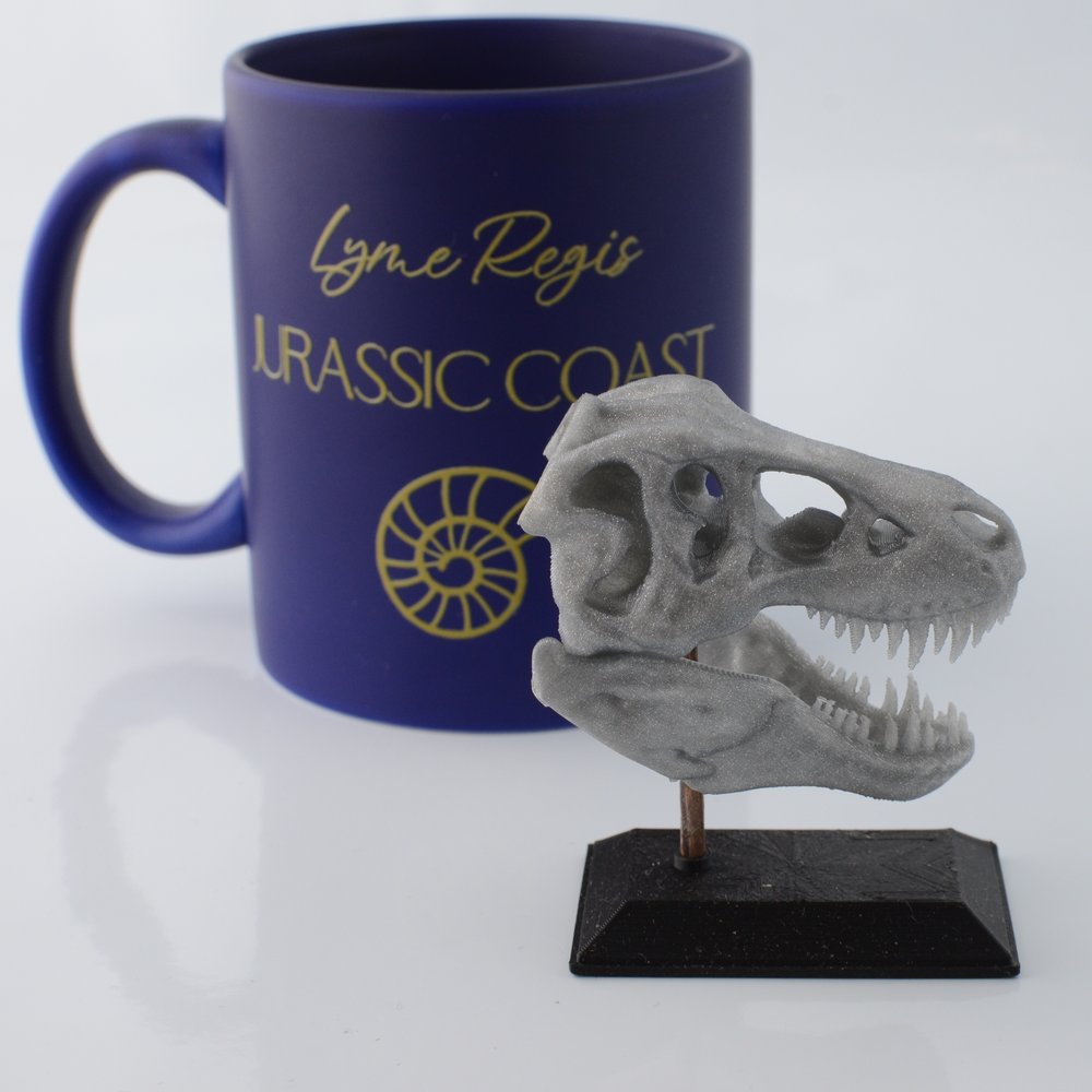 3D Printed T-Rex Skull Model