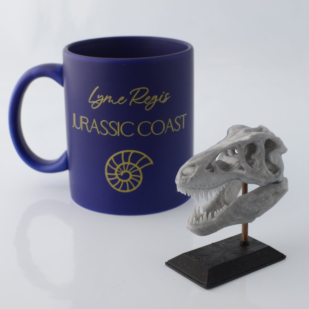 3D Printed T-Rex Skull Model