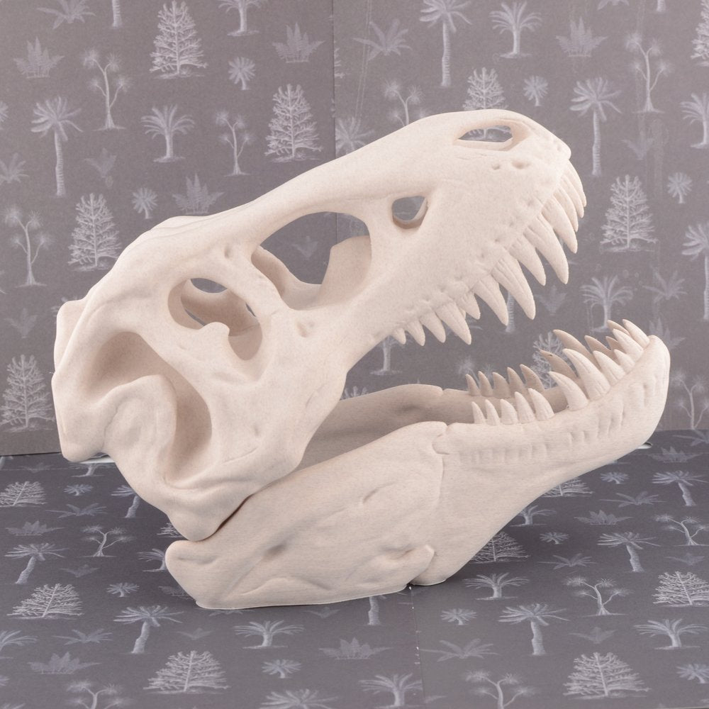 Model T Rex Skull Large