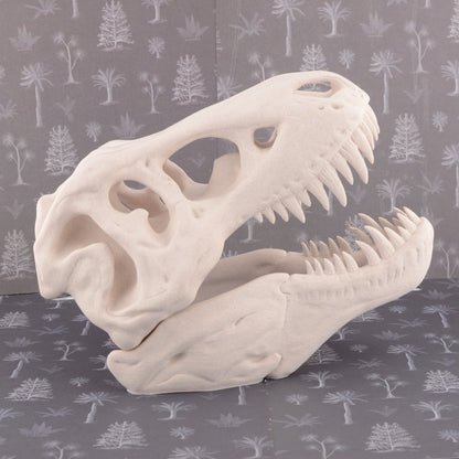 Model T Rex Skull Extra Large