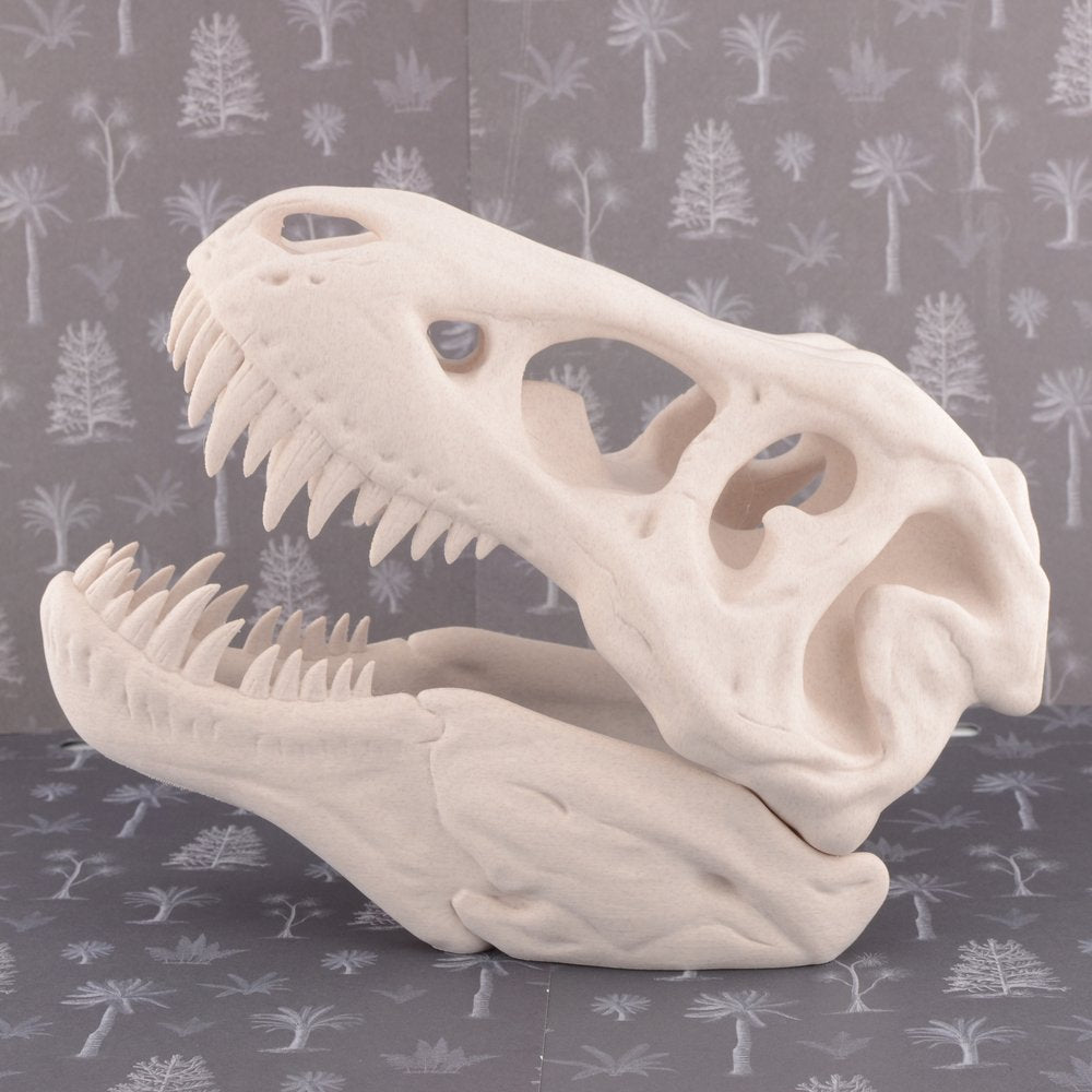 Model T Rex Skull Large