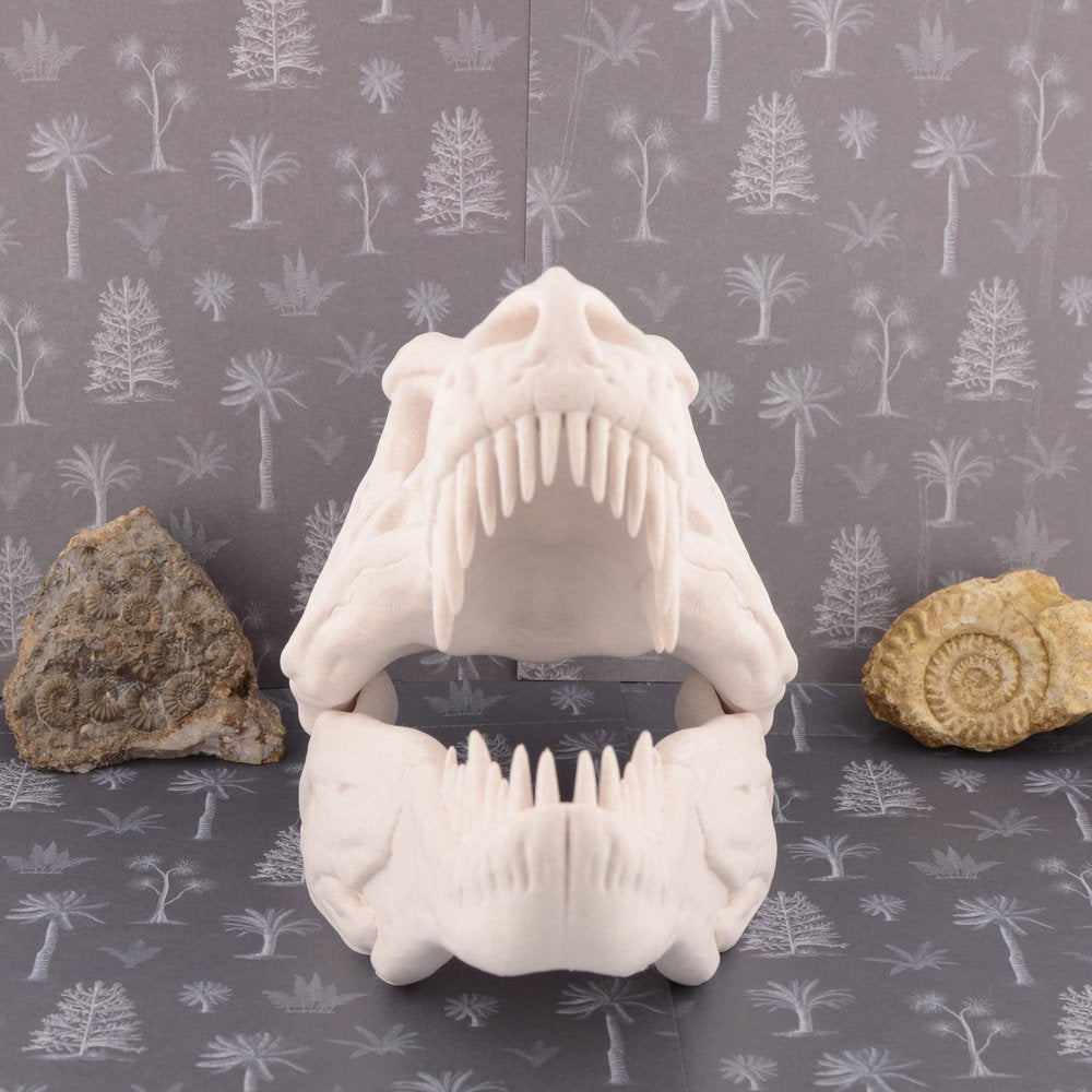 Model T Rex Skull Large