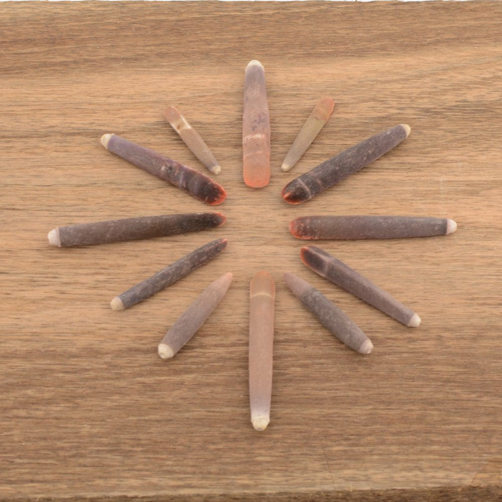 Urchin Wands / Pencil Urchin Spines