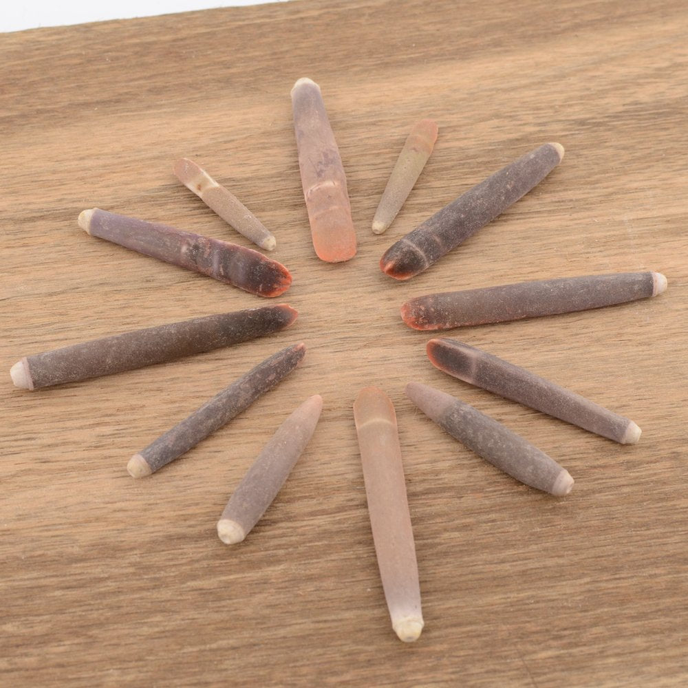 Urchin Wands / Pencil Urchin Spines