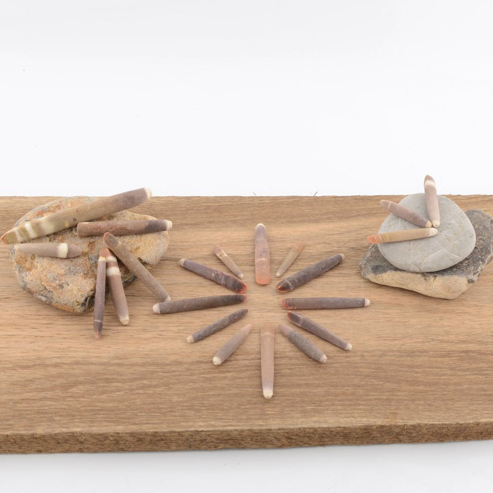 Urchin Wands / Pencil Urchin Spines