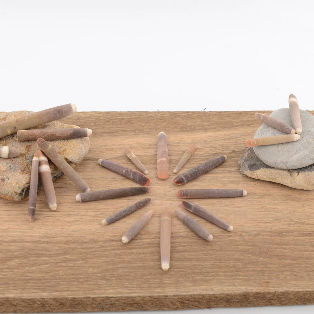 Urchin Wands / Pencil Urchin Spines
